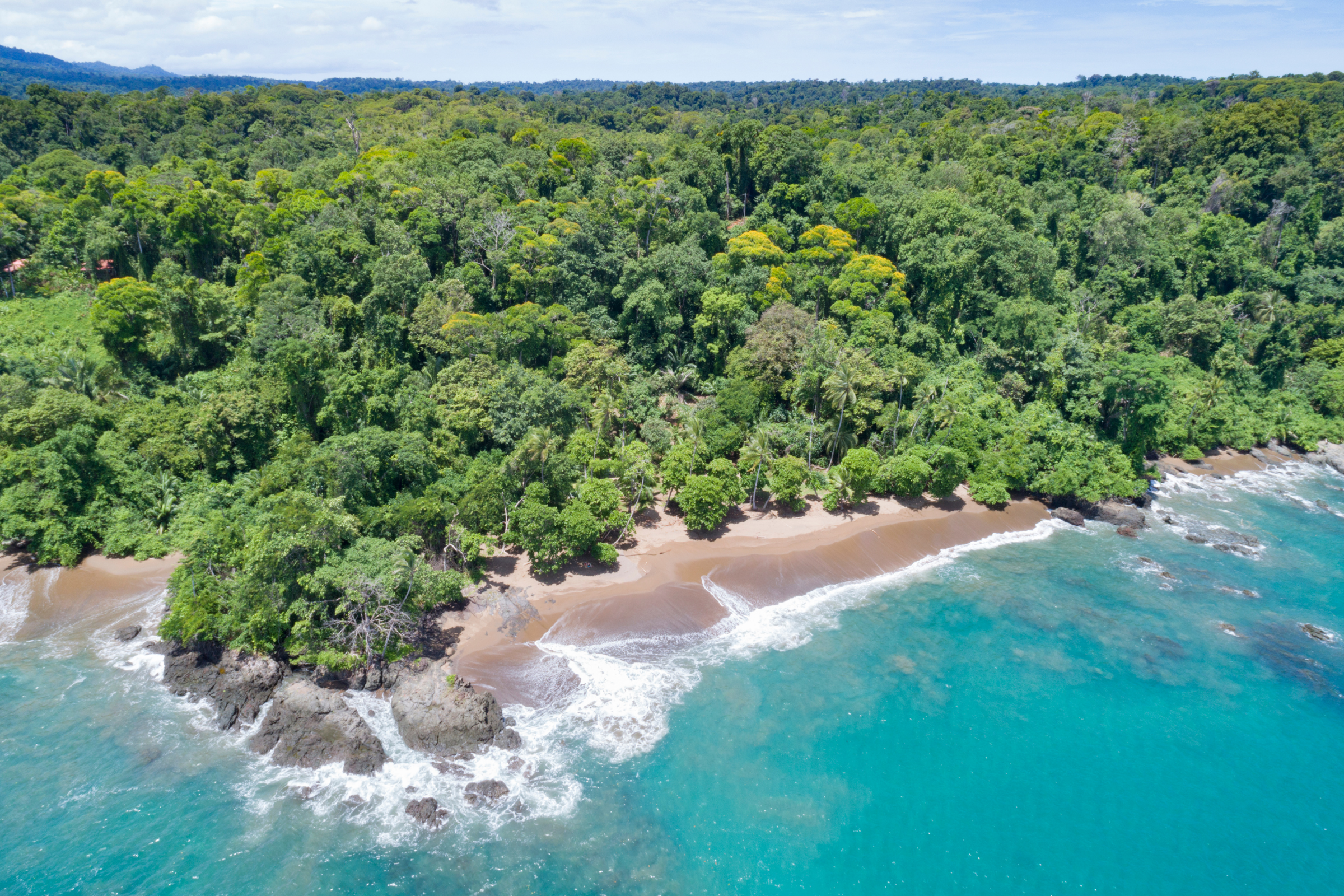 152 corcovado national park.webp